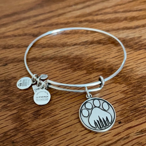 Alex and Ani Bracelet